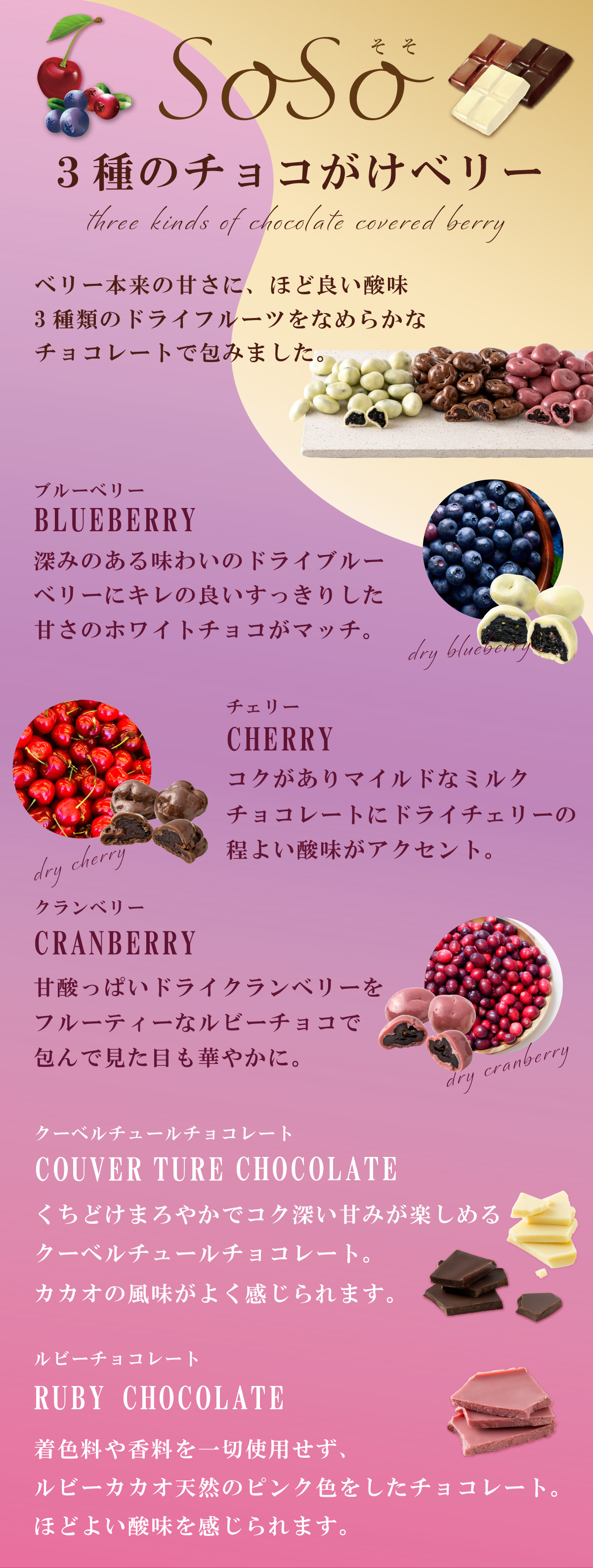 3種のチョコがけベリー