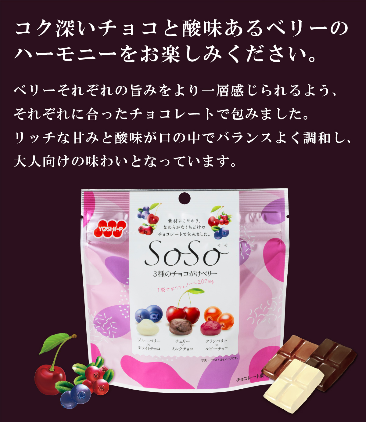 3種のチョコがけベリー