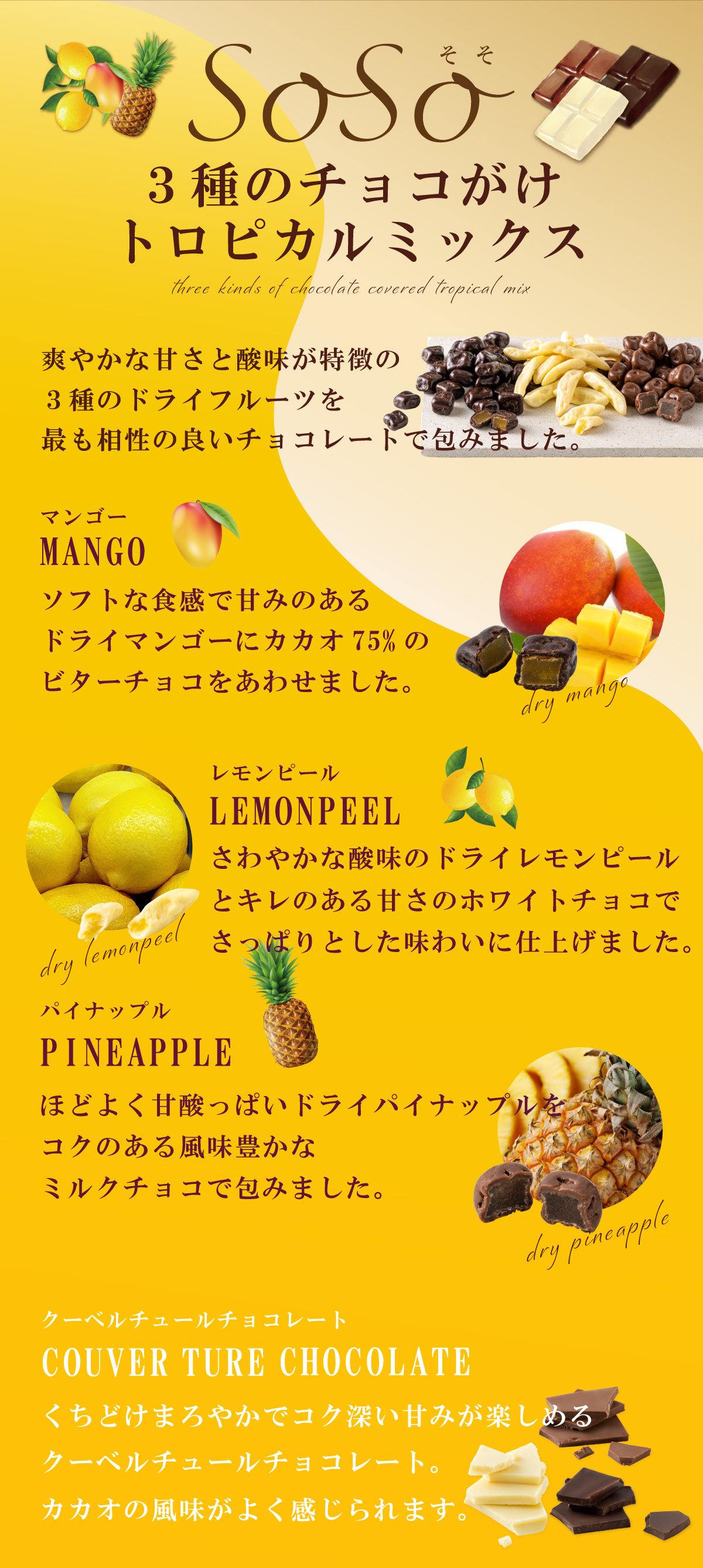 3種のチョコがけトロピカルミックス